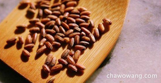 大麦茶怎么做？大麦茶的制作方法