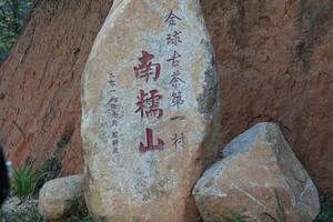 拔瑪茶——南糯山獨(dú)一無二的存在