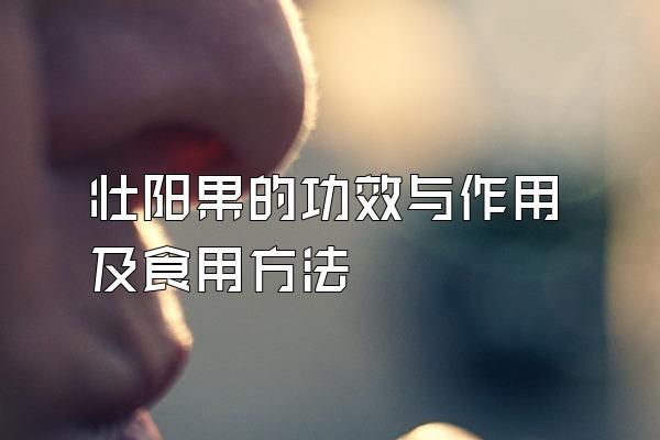 壮阳果的功效与作用及食用方法