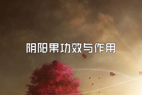 阴阳果功效与作用