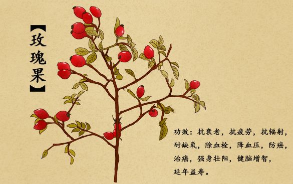 玫瑰果