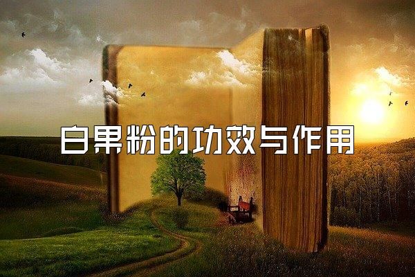 白果粉的功效與作用