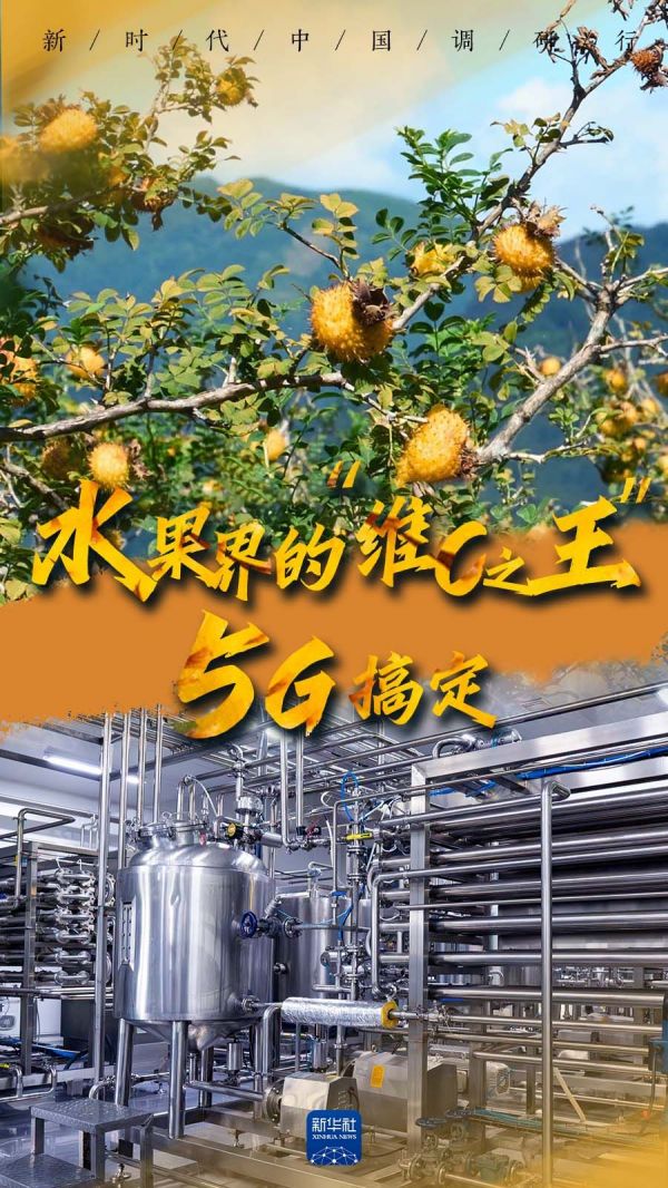 新時(shí)代中國(guó)調(diào)研行之看區(qū)域·西部篇｜聞！水果界的“維C之王”，5G搞定