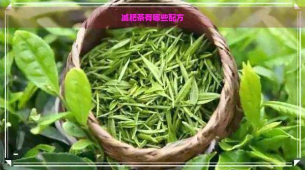 減肥茶有哪些配方