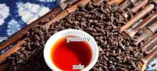【科学解析】哪些普洱茶成分有助于减肥？