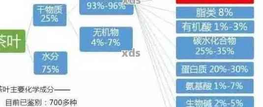 【科学解析】哪些普洱茶成分有助于减肥？