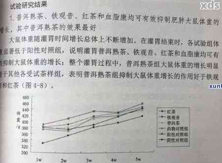普洱茶中的科學減肥成分：哪種效果？