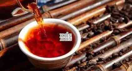 普洱茶中的科學減肥成分：哪種效果？