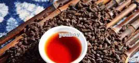 普洱茶中的科學減肥成分：哪種效果？