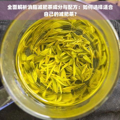 全面解析消脂减肥茶成分与配方：如何选择适合自己的减肥茶？