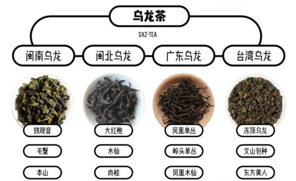 烏龍茶和綠茶的區(qū)別是什么？解析中的那些你需要知道的關鍵點