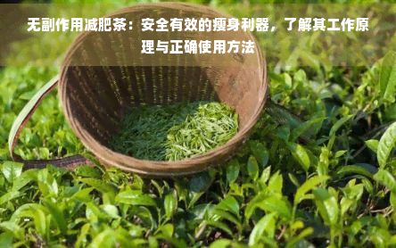 無副作用減肥茶：安全有效的瘦身利器，了解其工作原理與正確使用方法