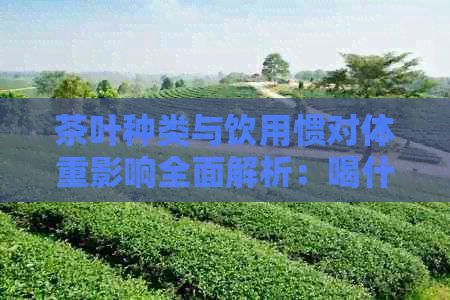 茶葉種類與飲用慣對體重影響全面解析：喝什么茶不容易導(dǎo)致胖？
