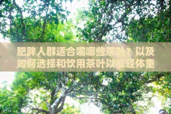 肥胖人群适合喝哪些茶叶？以及如何选择和饮用茶叶以减轻体重