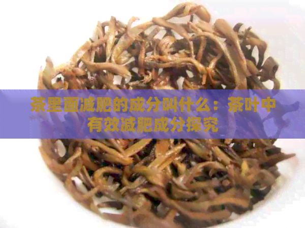 茶里面減肥的成分叫什么：茶葉中有效減肥成分探究