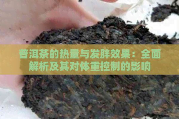 普洱茶的热量与发胖效果：全面解析及其对体重控制的影响