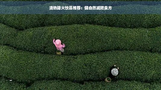 清熱降火飲品推薦:健自然減肥良方