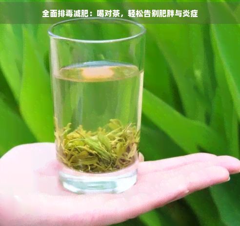 全面排減肥:喝對茶,輕松告別肥胖與炎癥