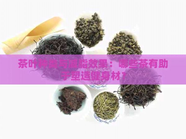 茶叶种类与减脂效果：哪些茶有助于塑造健身材？