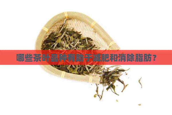 哪些茶叶品种有助于减肥和消除脂肪？