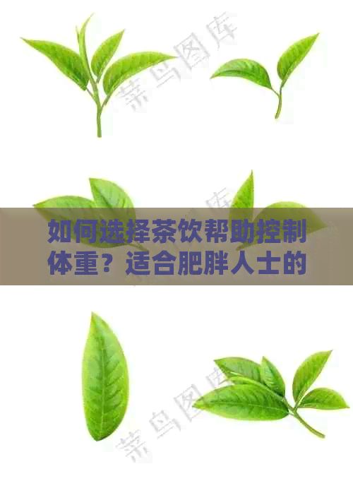 如何选择茶饮帮助控制体重？适合肥胖人士的健茶饮推荐