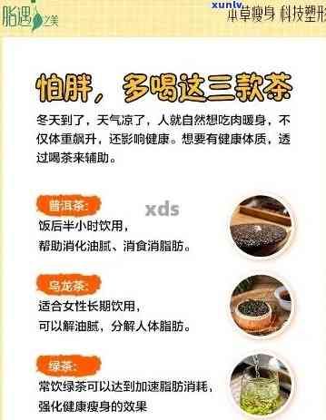 哪些茶饮有助于控制体重？探索科学有效的减肥茶配方
