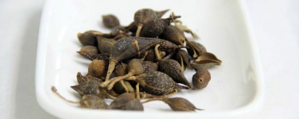 去痘中藥 去痘的中藥 中藥去痘
