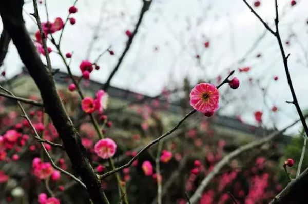 誰編出來的人生年齡歌，簡(jiǎn)直太有才了！