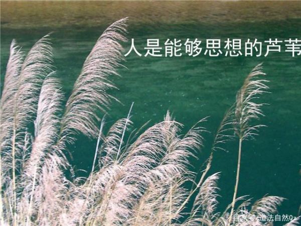 文章图片6