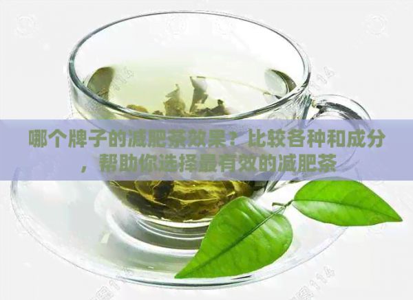 哪個(gè)牌子的減肥茶效果？比較各種和成分，幫助你選擇最有效的減肥茶