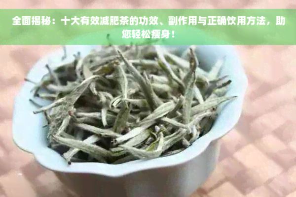 全面揭秘：十大有效減肥茶的功效、副作用與正確飲用方法，助您輕松瘦身！