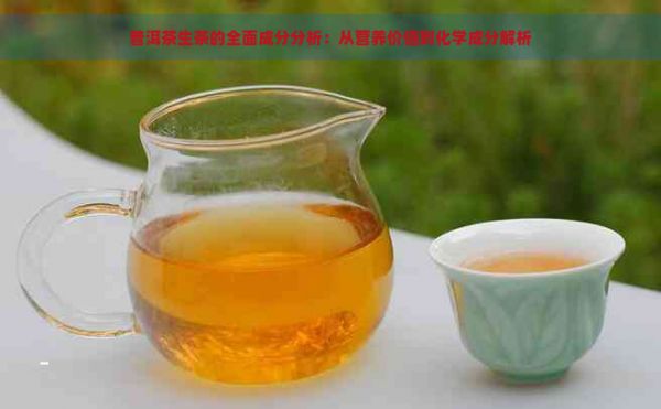 普洱茶生茶的全面成分分析：從營養(yǎng)價(jià)值到化學(xué)成分解析