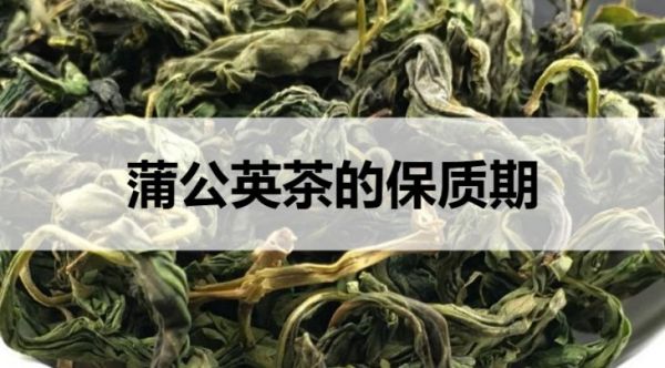 蒲公英茶的保质期是多久？