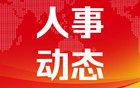 上海市政府發(fā)布一組人事任免信息