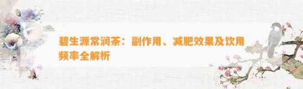 碧生源常润茶：副作用、减肥效果及饮用频率全解析