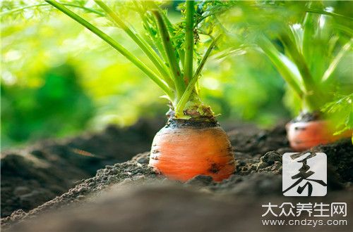  一碗青菜的熱量