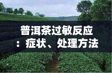 普洱茶过敏反应：症状、处理方法与预防措