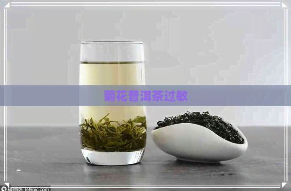 菊花普洱茶过敏