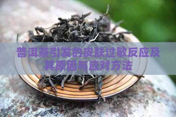 普洱茶引发的皮肤过敏反应及其原因与应对方法
