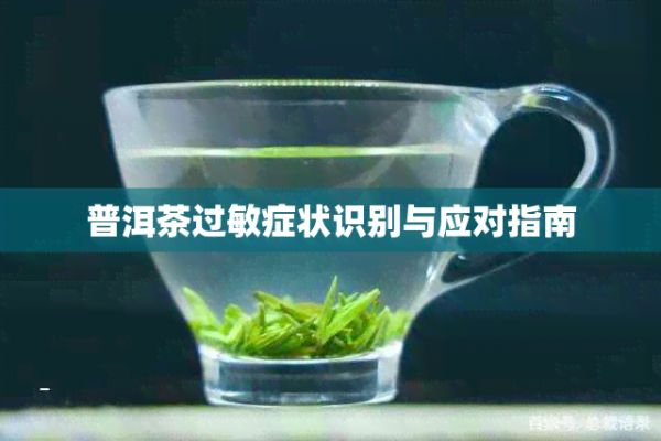 普洱茶过敏症状识别与应对指南