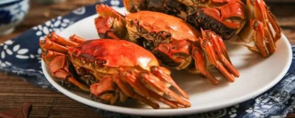 螃蟹的食用注意事項(xiàng)，死螃蟹絕對(duì)不能食用