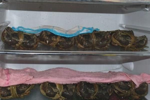 螃蟹的食用注意事項(xiàng)，死螃蟹絕對(duì)不能食用