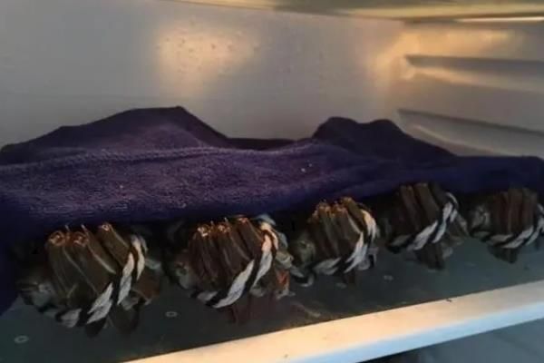 螃蟹的食用注意事項(xiàng)，死螃蟹絕對(duì)不能食用