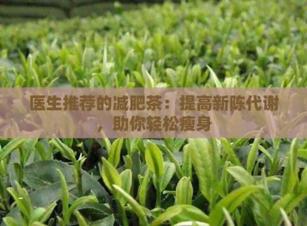 医生推荐的减肥茶：提高新陈代谢，助你轻松瘦身