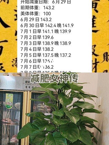 498元減10斤，無法想象啊