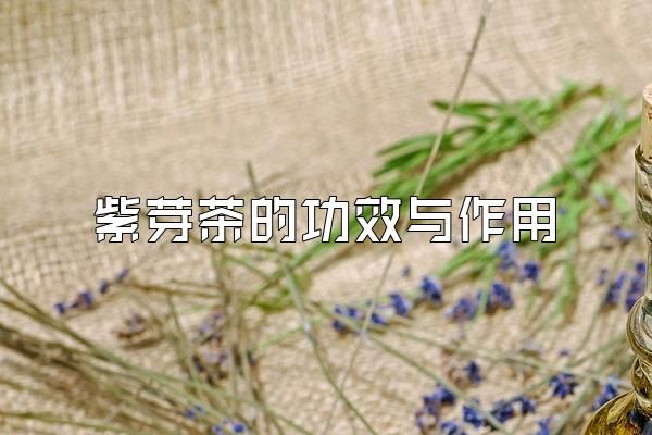 紫芽茶的功效与作用