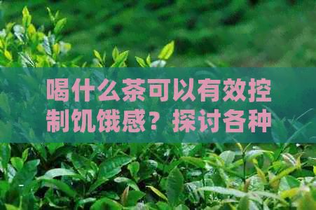 喝什么茶可以有效控制饥饿感？探讨各种茶叶的饱腹效果和适用场景