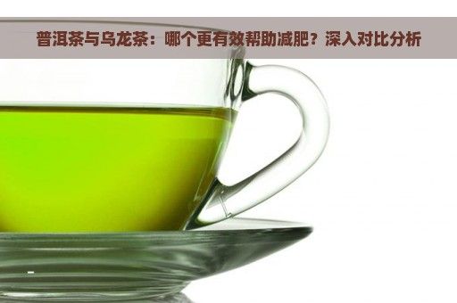 普洱茶与乌龙茶：哪个更有效帮助减肥？深入对比分析