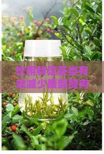饮用特定茶类有效减少腹部赘肉