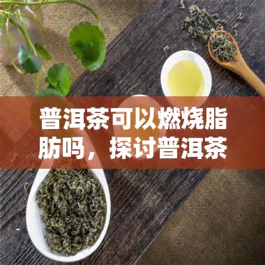 普洱茶可以燃烧脂肪吗，探讨普洱茶的减肥功效：真的能燃烧脂肪吗？